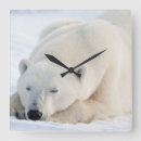 Search for churchill clocks Arctic