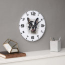 Search for boston clocks Pet
