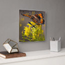 Search for tortoiseshell art Beautiful