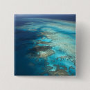 Search for barrier badges Tropical