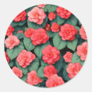 Search for begonia stickers Pink