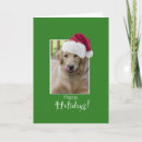 Search for dog walker cards Funny