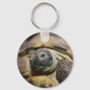 Search for tortoise shell key rings Cute