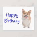 Search for birthday corgi postcards Puppy