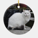 Search for cemetery christmas tree decorations White
