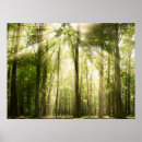 Search for sunrays posters Sunbeam