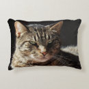 Search for tabby cat cushions meow