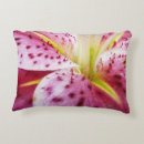 Search for stargazer lily decor Pink