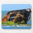 Search for boating life electronics Shore