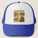 Search for endangered hats Wildlife conservation