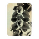 Search for orchids magnets Flower
