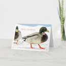 Search for funny duck christmas cards Snow