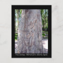 Search for carving postcards Tree
