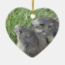 Search for groundhog christmas tree decorations Cute