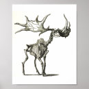 Search for animal bones posters Nature