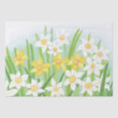 Search for daffodil tissue paper Botanical