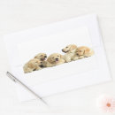 Search for cute golden retriever puppy stickers Portrait