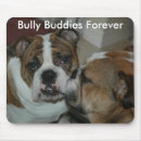 Search for bully electronics Animal