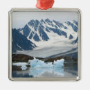 Search for iceberg christmas tree decorations Arctic