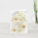 Search for daises cards Flowers