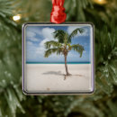 Search for caribbean christmas tree decorations Beach