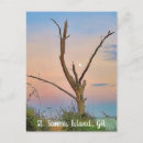 Search for st simons postcards Golden isles