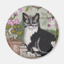 Search for pretty kitty magnets Kitten