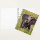 Search for reserves office supplies African elephant
