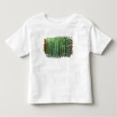 Search for kyoto tshirts Okochi sanso