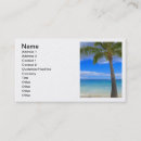 Search for coconut business cards Ocean