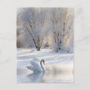 Search for swans christmas cards Xmas