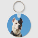 Search for brindle round key rings Pitbull