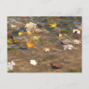 Search for falling water postcards Nature