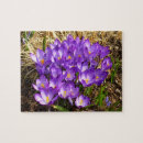 Search for cluster puzzles Photography