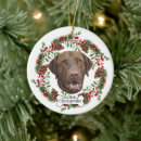Search for chesapeake bay christmas tree decorations Retriever