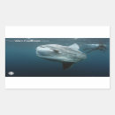 Search for documentary stickers Television