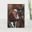 Search for cad postcards Unique