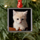 Search for orange kitten christmas tree decorations Pet