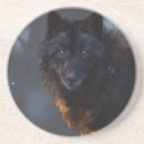 Search for black wolf coasters Animals