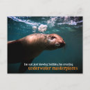Search for sealion postcards Animal