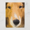 Search for shetland sheepdog postcards Sheltie