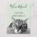 Search for cat humor invitations Humour