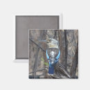 Search for australian bird magnets Kingfisher