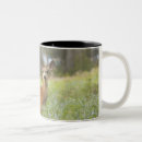Search for length mugs Nature