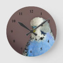 Search for budgie art Blue