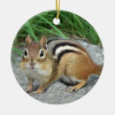Search for chipmunk christmas tree decorations Animal