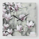 Search for magnolia clocks Blossoms