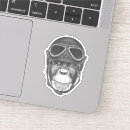 Search for vintage helmet stickers Cute