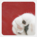 Search for domestic animals stickers Paw