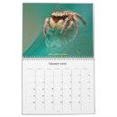 Search for spider calendars Macro